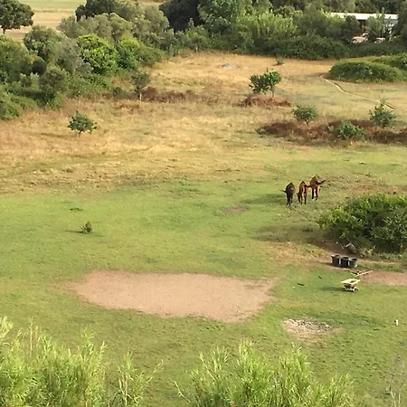 I Salini - T3 élégant&calme Près Du Centre Apartamento Porto Vecchio